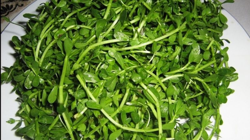 Mẹ bầu ăn rau đắng có tốt không?