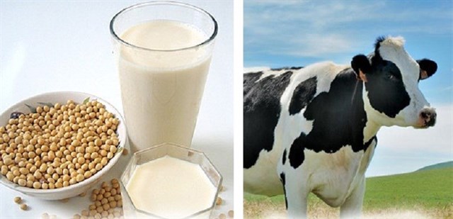 Sữa thực vật và sữa bò thì loại nào tốt cho bạn?