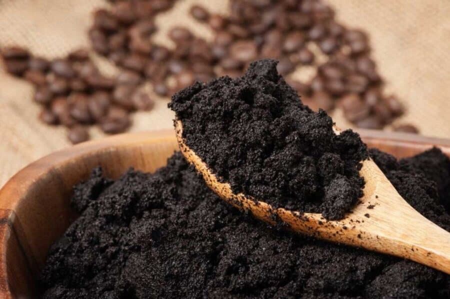 Bí kíp đuổi ruồi, muỗi, kiến, gián hiệu quả ,an toàn cho sức khỏe