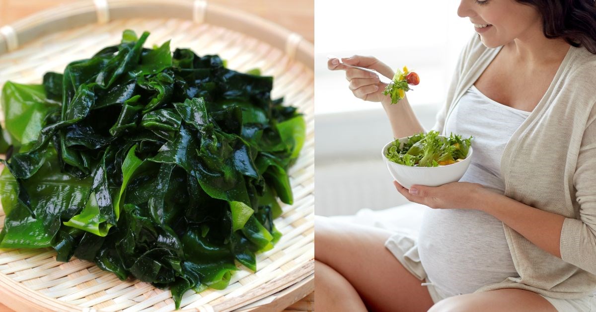 Mẹ bầu ăn tảo biển được không?