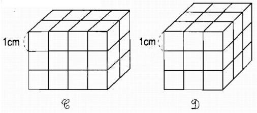 Vở bài tập Toán lớp 5 bài 110 Thể tích của một hình có đáp án