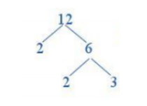 Hợp số là gì? Cách phân tích một số ra thừa số nguyên tố nhanh nhất Toán lớp 6