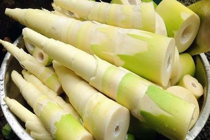 Thường xuyên ăn măng có tốt không?