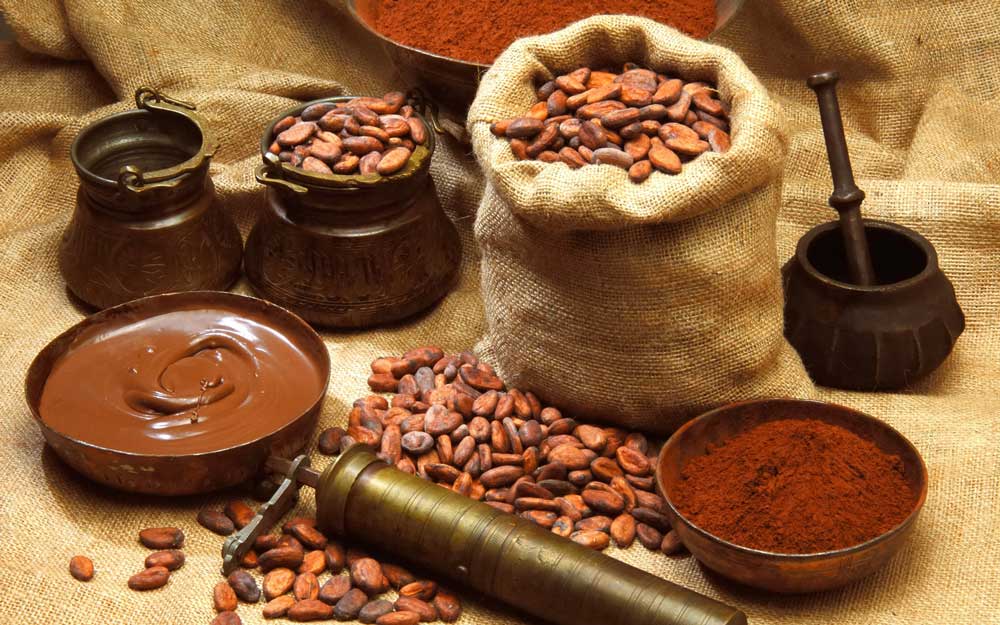 Các lợi ích sức khỏe và dinh dưỡng của bột cacao không thể bỏ lỡ