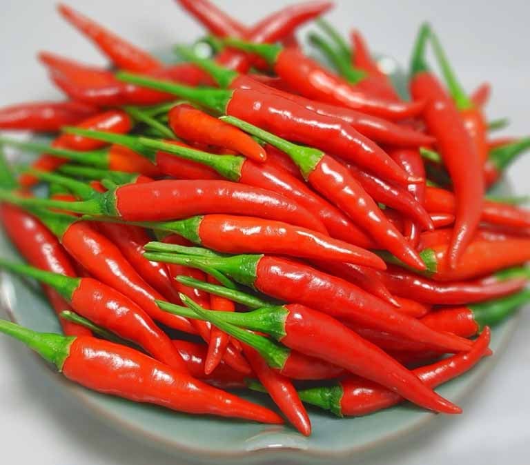 Cách làm ớt ngâm muối và nước muối giòn ngon để lâu không hư