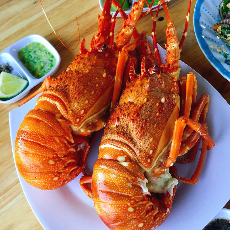 Tôm hùm làm gì ngon? Những món ngon chế biến từ tôm hùm hấp dẫn