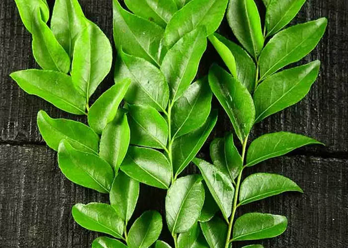 Công dụng của lá cà ri không phải ai cũng biết