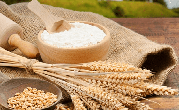 Các thành phần dinh dưỡng có trong cám gạo như thế nào?