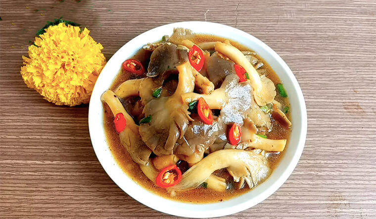 Những món ngon từ nấm bào ngư đơn giản dễ làm cho bữa cơm