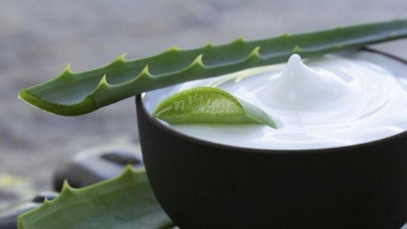 Cách chế biến nha đam thành các món thanh mát giải nhiệt mùa hè