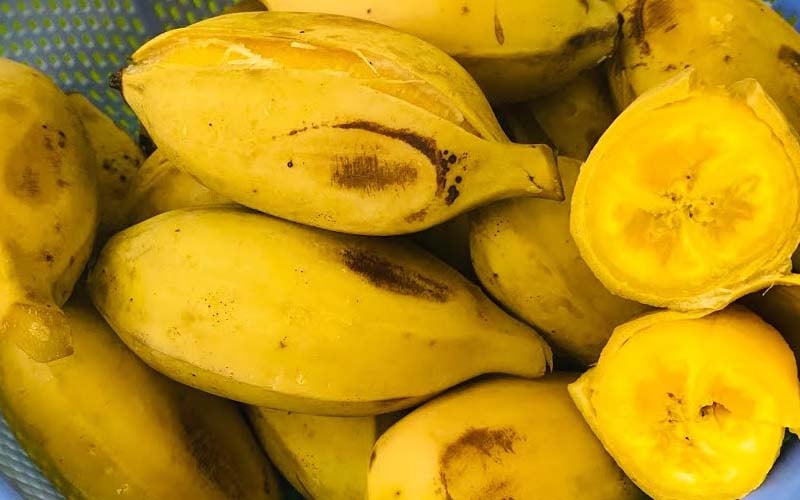 Hướng dẫn cách luộc chuối sáp ngon, ngọt dẻo thơm không bị nứt vỏ