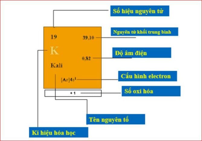 Bảng tuần hoàn hóa học lớp 7,8,9,10 đầy đủ, chi tiết nhất