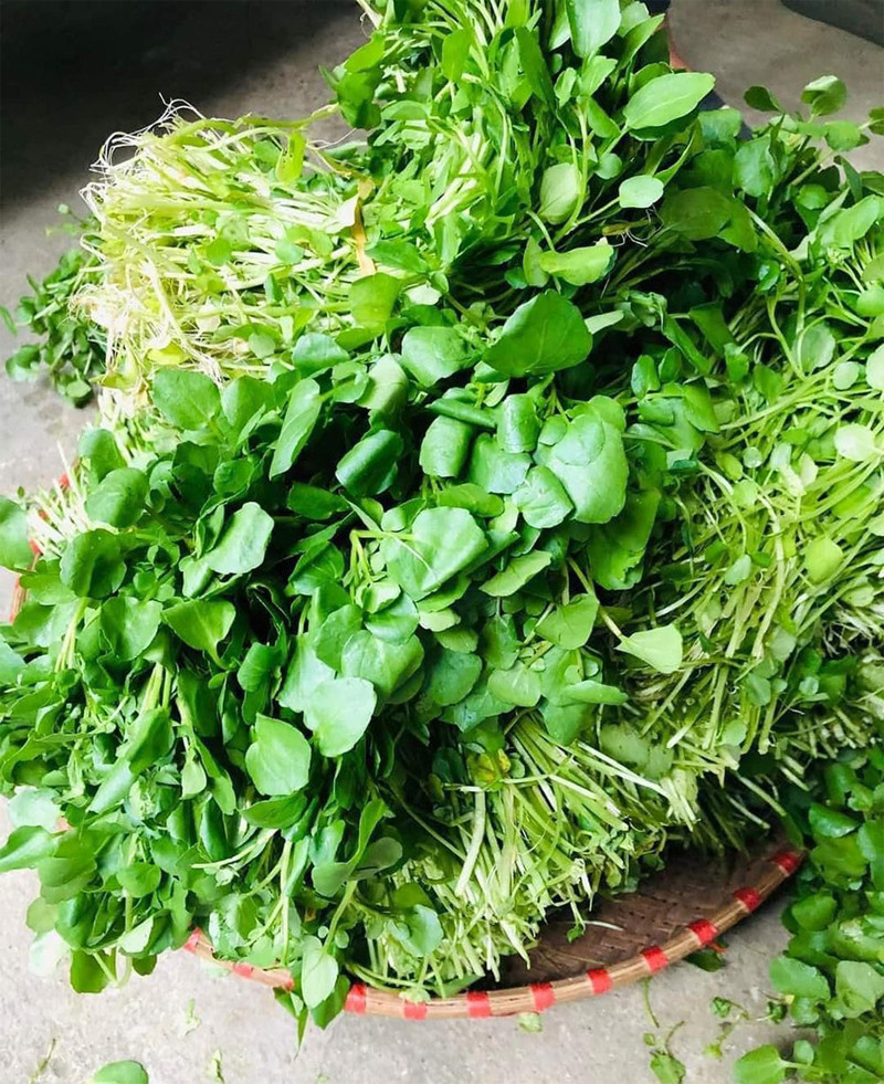 Mách bạn những thực phẩm, rau củ ít calo hỗ trợ giảm cân