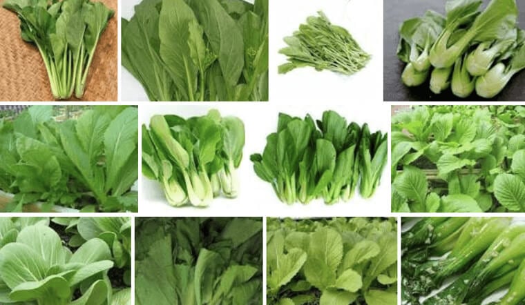 Các đồ ăn không tinh bột và đồ ăn nhẹ có ít tinh bột