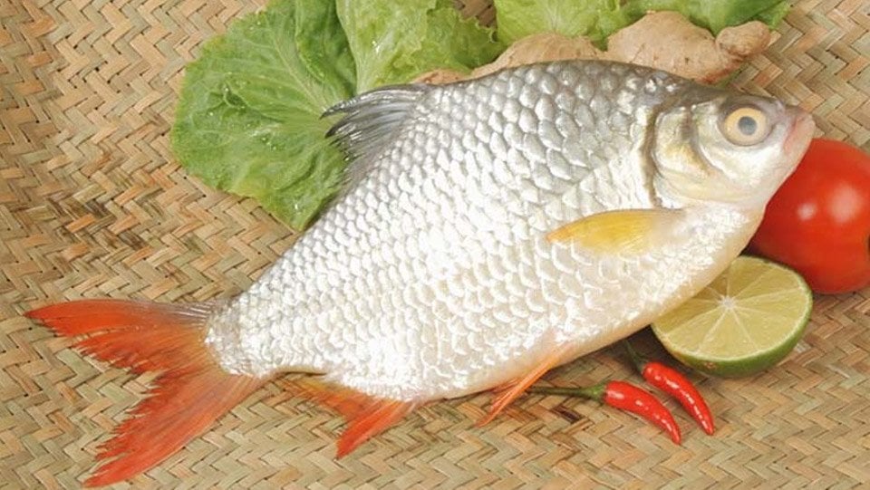 Tổng hợp 10 món ngon từ cá mè hấp dẫn đơn giản, ai cũng làm được
