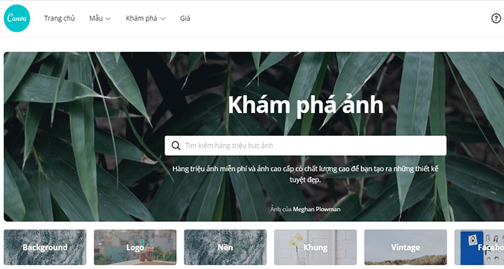 Canva là gì? Chức năng của ứng dụng thiết kế đồ họa Canva