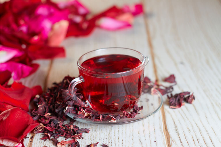 Công dụng cây bụp giấm đối với sức khỏe
