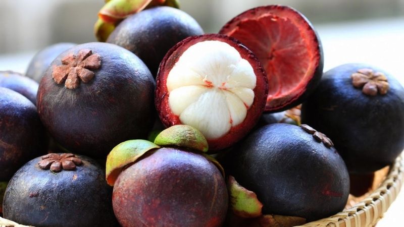 Măng cụt trồng ở đâu, bao nhiêu tiền 1kg? Mùa măng cụt là mùa nào?