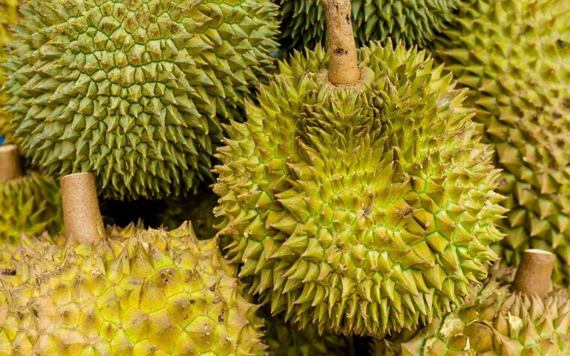 Cách chọn sầu riêng ri6 ngon, hạt lép