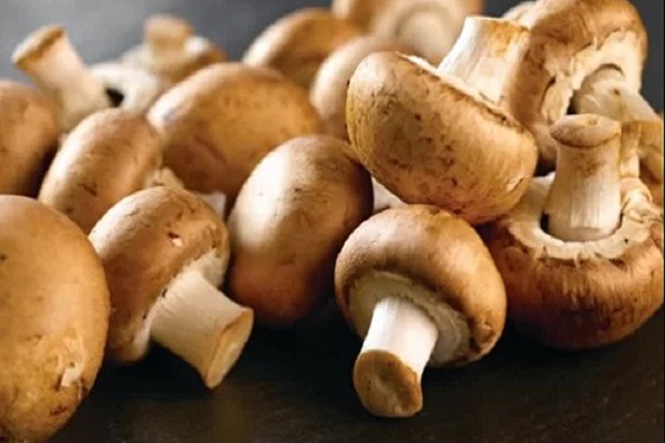 Nấm agaricus là gì? Công dụng của nấm agaricus như thế nào?
