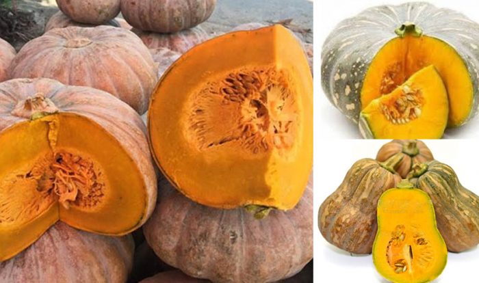 Bí đỏ có giá trị dinh dưỡng như thế nào?