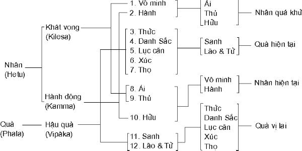 Lời dạy Đức Phật về thập nhị nhân duyên như thế nào ?