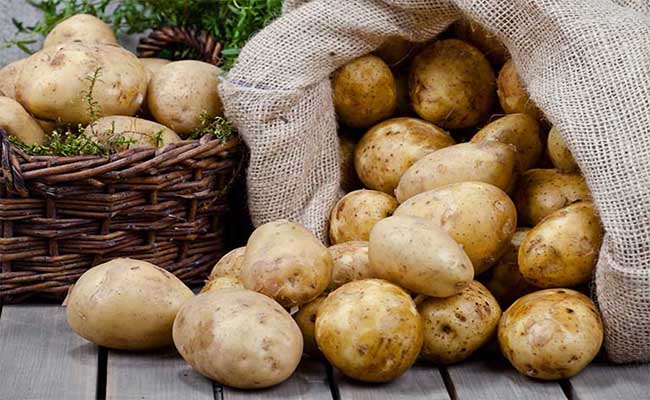 Bị bệnh gút có nên ăn rau ngót, muống, mồng tơi không?