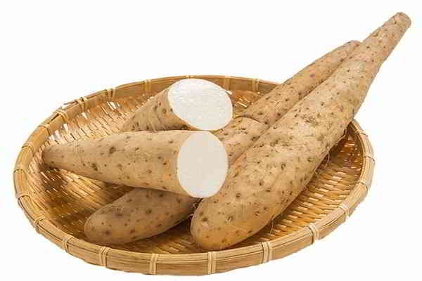 Củ mài có tác dụng gì?