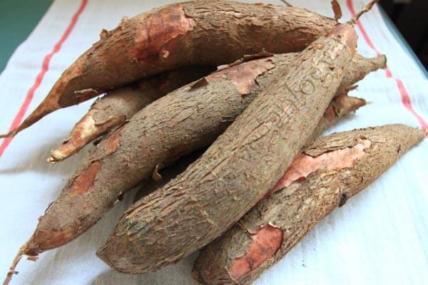 Khoai sắn dây (củ sắn dây)