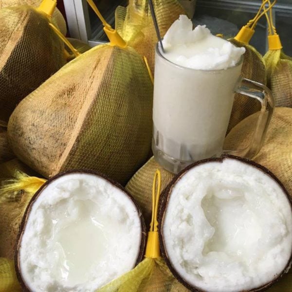 Dừa sáp là gì? Hướng dẫn cách ăn dừa sáp ngon, dễ dàng