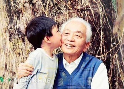 Hình ảnh Đại Tướng Nguyên Giáp