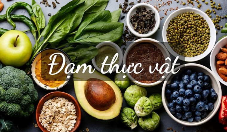 Các loại thức ăn chứa đạm thực vật nhiều không phải ai cũng biết
