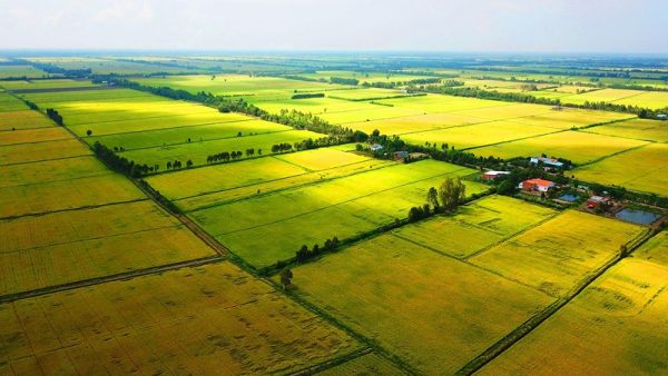 Bảng khung tính giá đất, bảng giá đất tỉnh Cần Thơ năm 2023