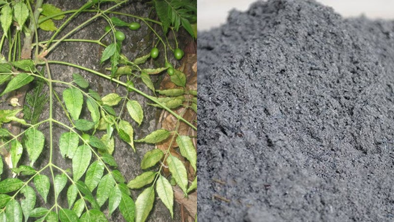 Mẹo bảo quản các loại đậu, đỗ để được lâu, chống mối mọt hiệu quả