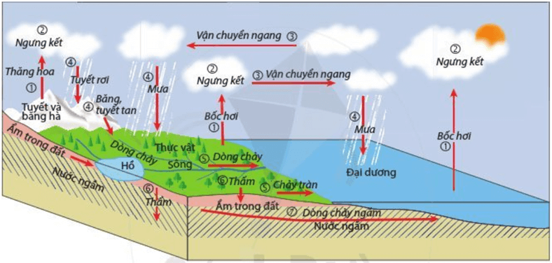 Đề cương ôn tập học kì 2 môn Lịch sử - Địa lí 6 sách Cánh diều chi tiết