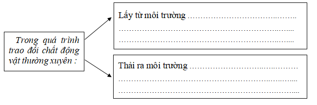 Đề thi học kì 2 Khoa học lớp 4 có đáp án năm học 2022 - 2023