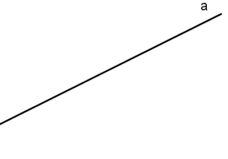 Đường thẳng là gì? Định nghĩa đường thẳng đoạn thẳng trong toán học