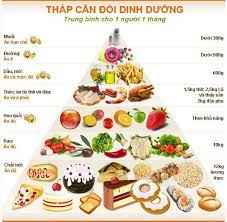 Phân tích tháp dinh dưỡng cho người lớn khỏe mạnh