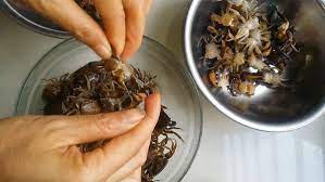 Cách sơ chế và lọc cua đồng cực đơn giản để nấu riêu cua đơn giản tại nhà
