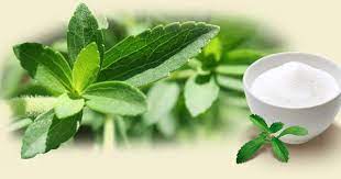 Stevia (Cây cỏ ngọt) có tốt cho sức khỏe không ?