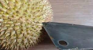 Hướng dẫn cách bổ sầu riêng nhanh chóng, đơn giản không bị gai đâm