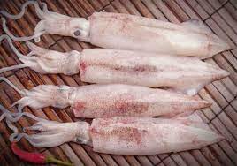Tổng hợp 5 loại mực phổ biến và cách làm mực tươi sạch sẽ và nhanh gọn