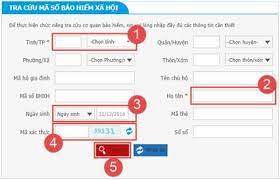 Tra cứu Mã số BHXH và Mã hộ gia đình