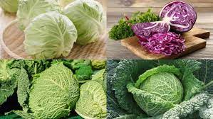 Tổng hợp 11 lựa chọn thay thế tốt cho gạo