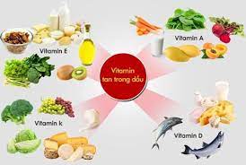 Một số loại vitamin tan trong dầu
