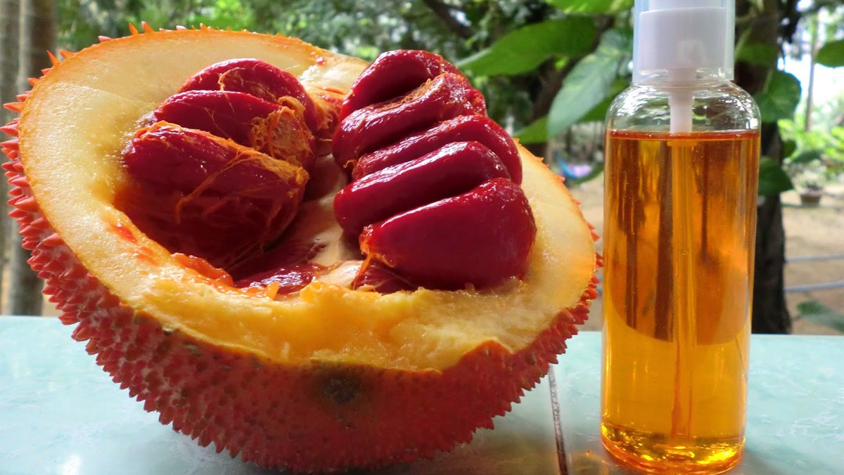 Tác dụng của quả gấc đối với sức khoẻ mà không phải ai cũng biết