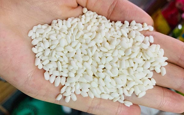 Tổng hợp các loại gạo khác nhau ở Việt Nam và cách sử dụng phù hợp