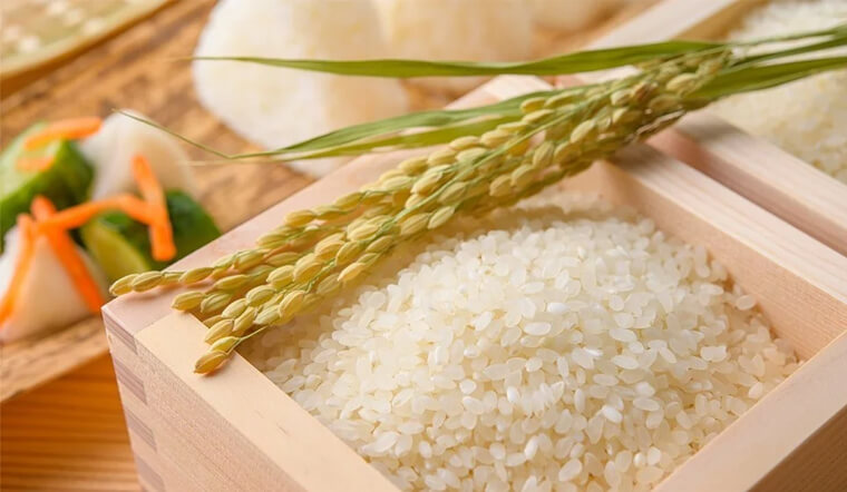 Ăn gạo sống có tốt hay không? Các rủi ro khi ăn gạo sống