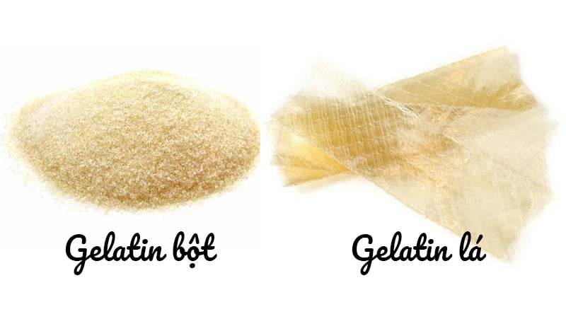Tìm hiểu về Gelatin là gì?