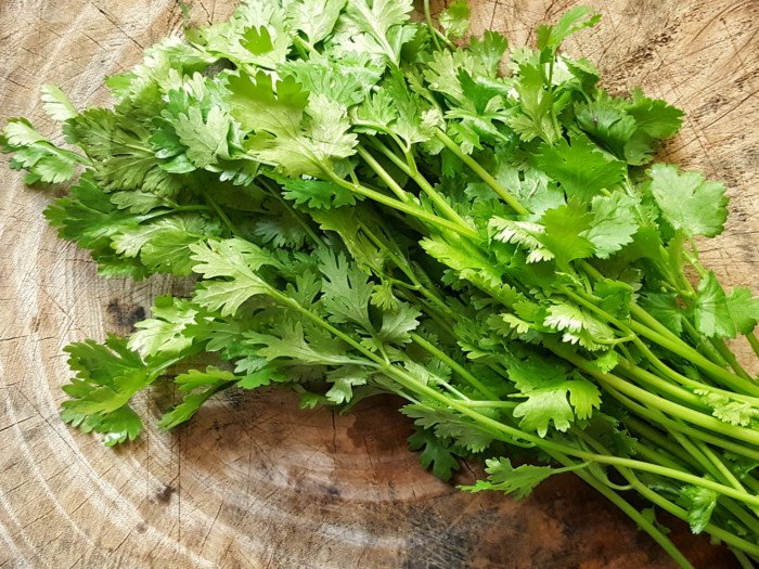 Cilantro là gì? Công dụng của Cilantro và cách phân biệt với rau mùi tây